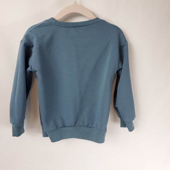 Adorable Blue/Grey Boys Long Slv Crew Neck Sweater "Little Dude" Sz 5T - Picture 6 of 8